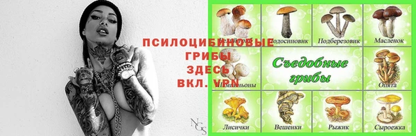 тгк Богородицк