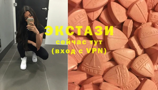 тгк Богородицк