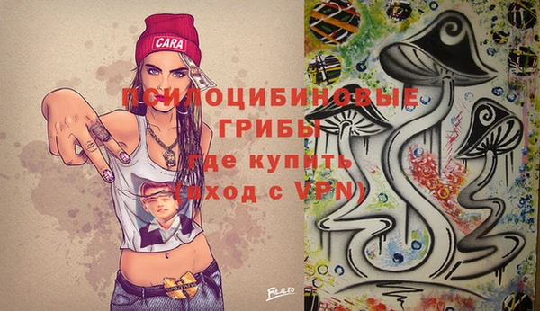 синтетический гашиш Богородск