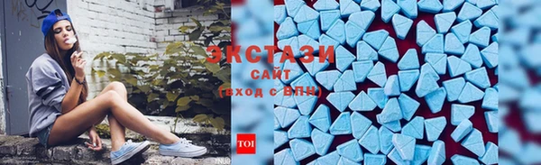 тгк Богородицк