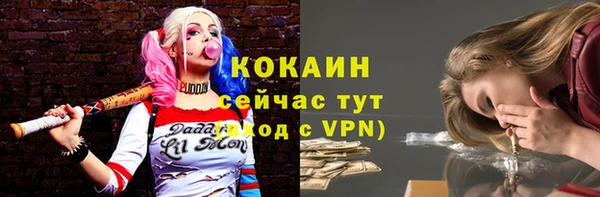 гашиш Богданович